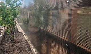 �����: ����� �� ������������� �� ����